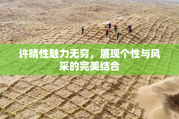 许晴性魅力无穷，展现个性与风采的完美结合