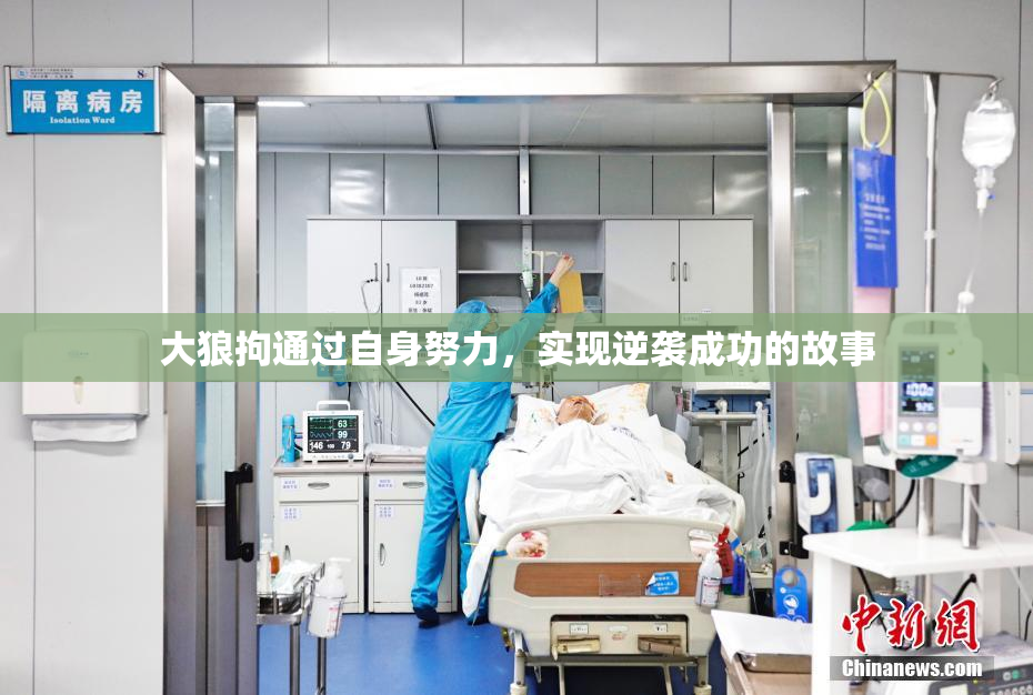 大狼拘通过自身努力，实现逆袭成功的故事