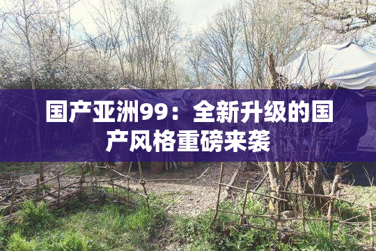 国产亚洲99：全新升级的国产风格重磅来袭