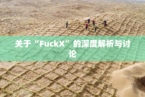 关于“FuckX”的深度解析与讨论