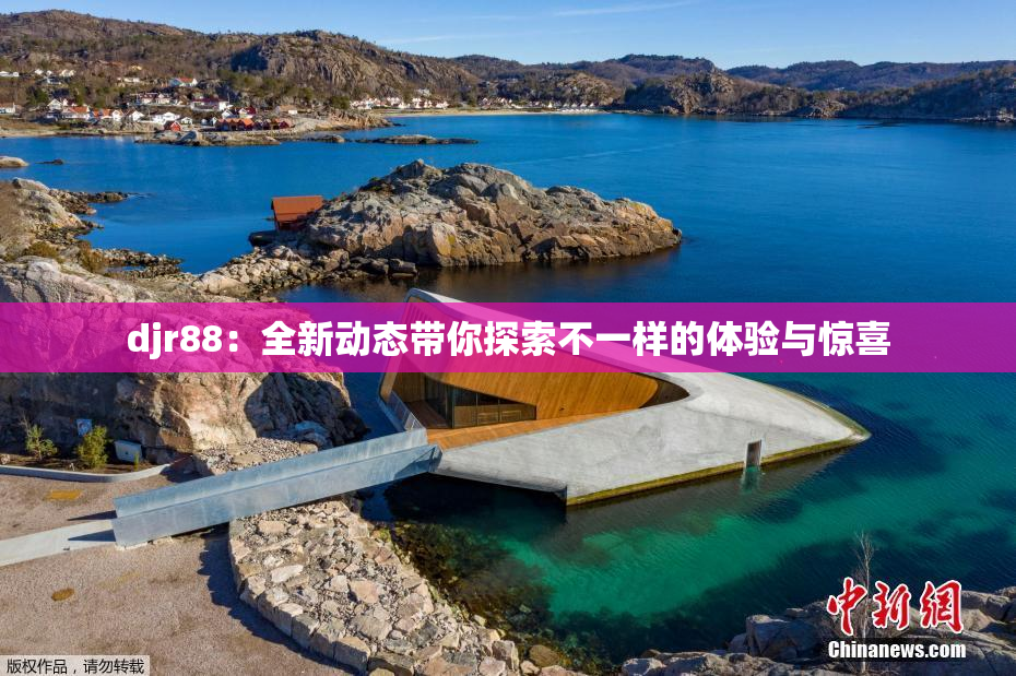 djr88：全新动态带你探索不一样的体验与惊喜