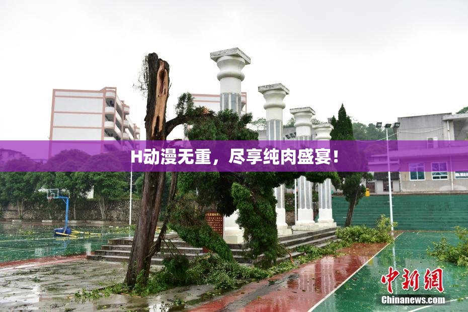 H动漫无重，尽享纯肉盛宴！
