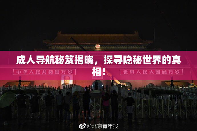 成人导航秘笈揭晓，探寻隐秘世界的真相！