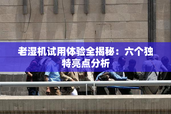 老湿机试用体验全揭秘：六个独特亮点分析