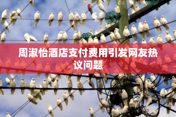 周淑怡酒店支付费用引发网友热议问题