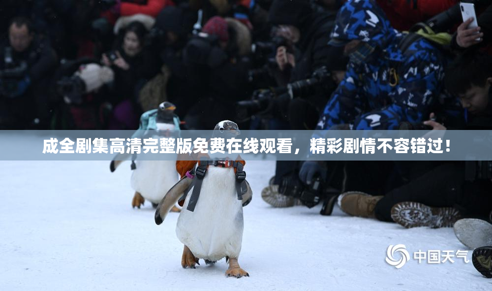 成全剧集高清完整版免费在线观看，精彩剧情不容错过！