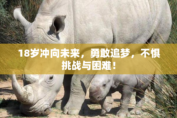 18岁冲向未来，勇敢追梦，不惧挑战与困难！