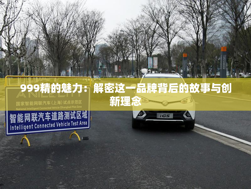 999精的魅力：解密这一品牌背后的故事与创新理念