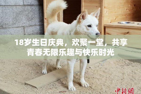 18岁生日庆典，欢聚一堂，共享青春无限乐趣与快乐时光