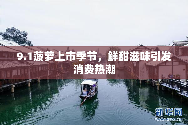 9.1菠萝上市季节，鲜甜滋味引发消费热潮