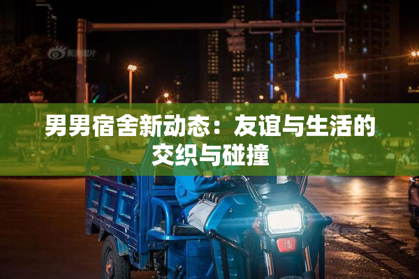 男男宿舍新动态：友谊与生活的交织与碰撞