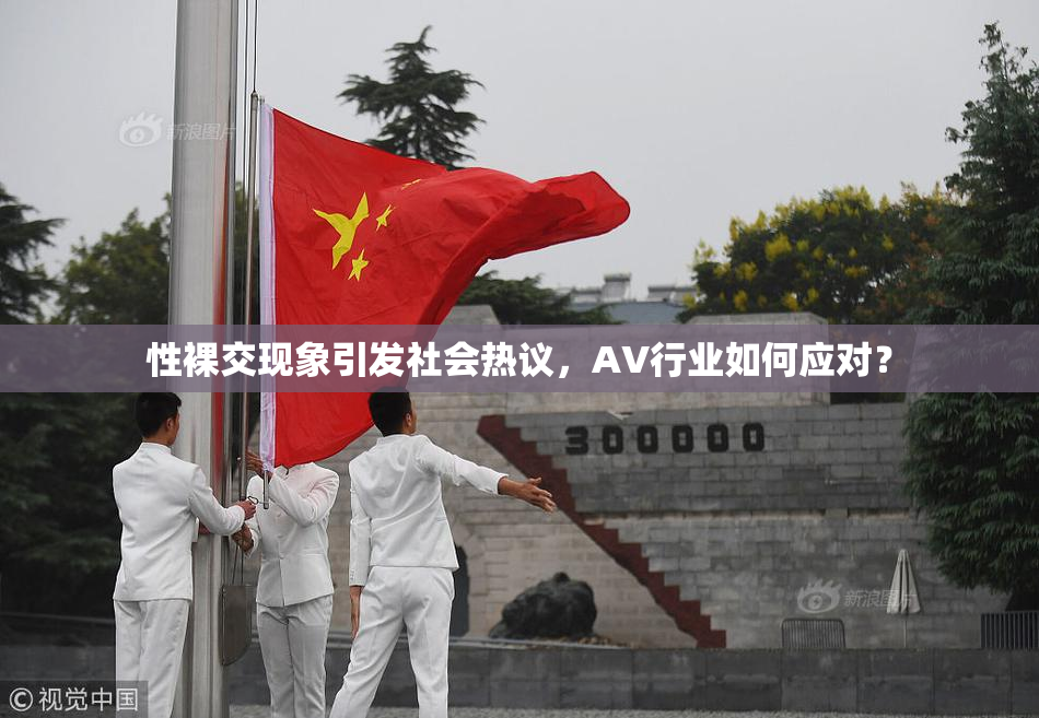 性裸交现象引发社会热议，AV行业如何应对？