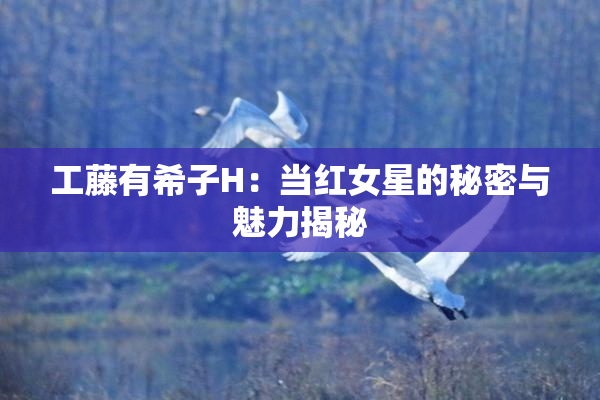 工藤有希子H：当红女星的秘密与魅力揭秘