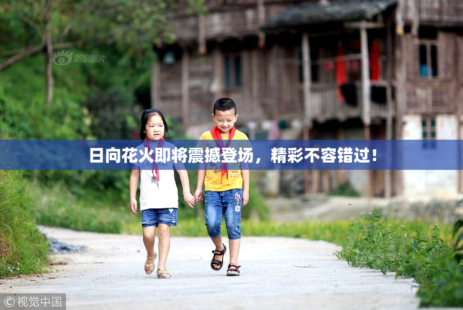 日向花火即将震撼登场，精彩不容错过！