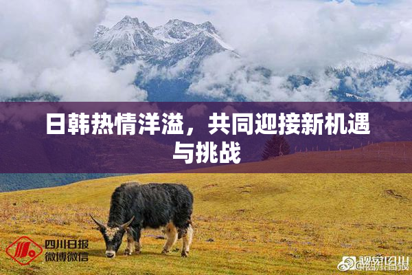 日韩热情洋溢，共同迎接新机遇与挑战