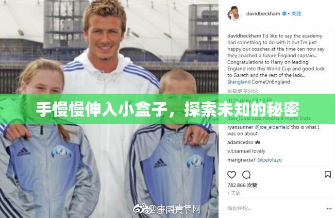 手慢慢伸入小盒子，探索未知的秘密