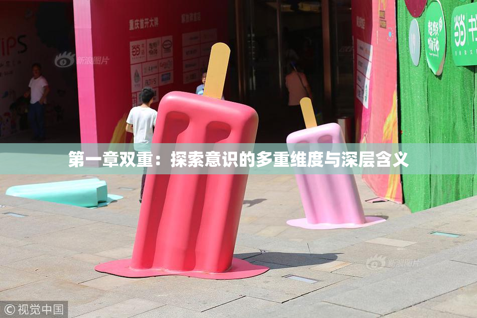 第一章双重：探索意识的多重维度与深层含义