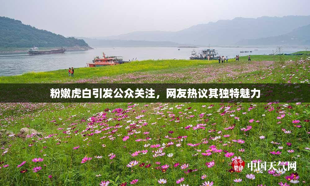 粉嫩虎白引发公众关注，网友热议其独特魅力