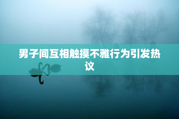 男子间互相触摸不雅行为引发热议