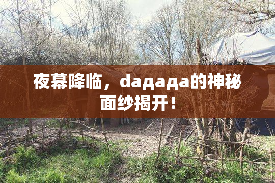 夜幕降临，daдадa的神秘面纱揭开！
