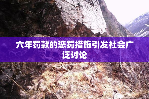 六年罚款的惩罚措施引发社会广泛讨论