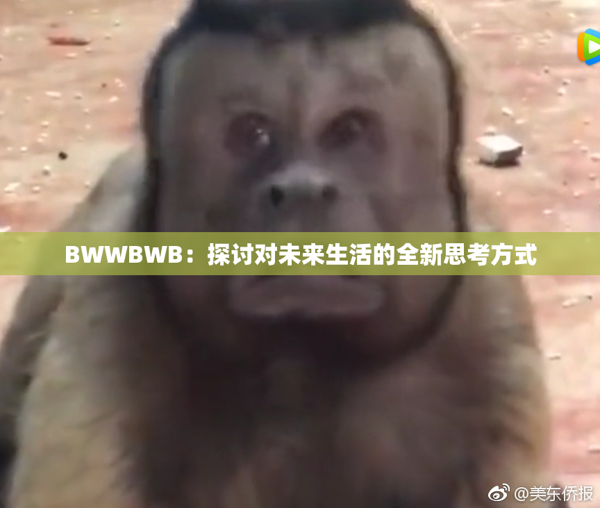 BWWBWB：探讨对未来生活的全新思考方式