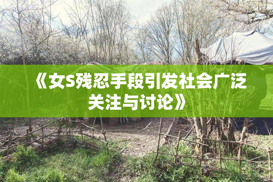 《女S残忍手段引发社会广泛关注与讨论》