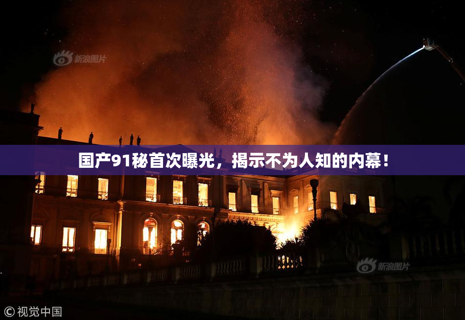 国产91秘首次曝光，揭示不为人知的内幕！