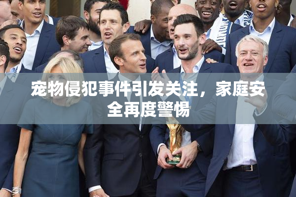 宠物侵犯事件引发关注，家庭安全再度警惕