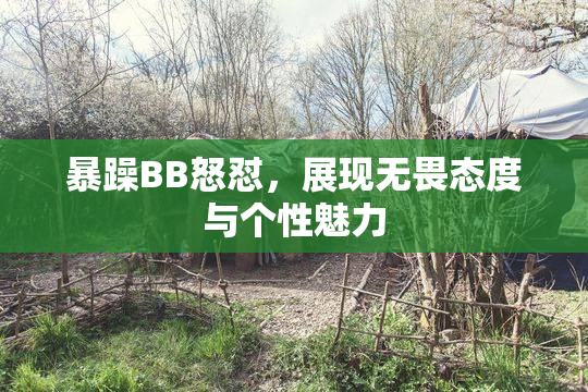 暴躁BB怒怼，展现无畏态度与个性魅力
