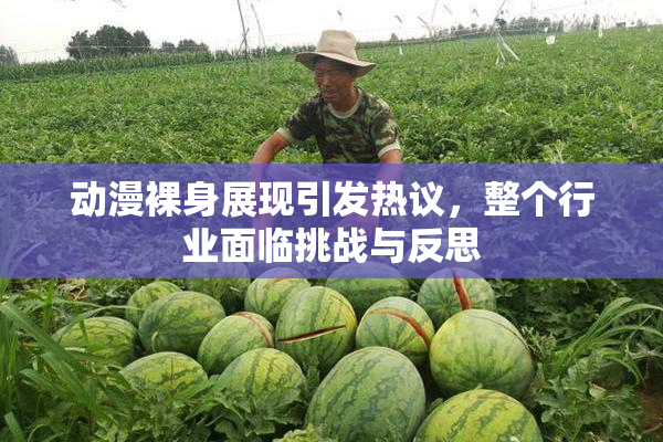 动漫裸身展现引发热议，整个行业面临挑战与反思