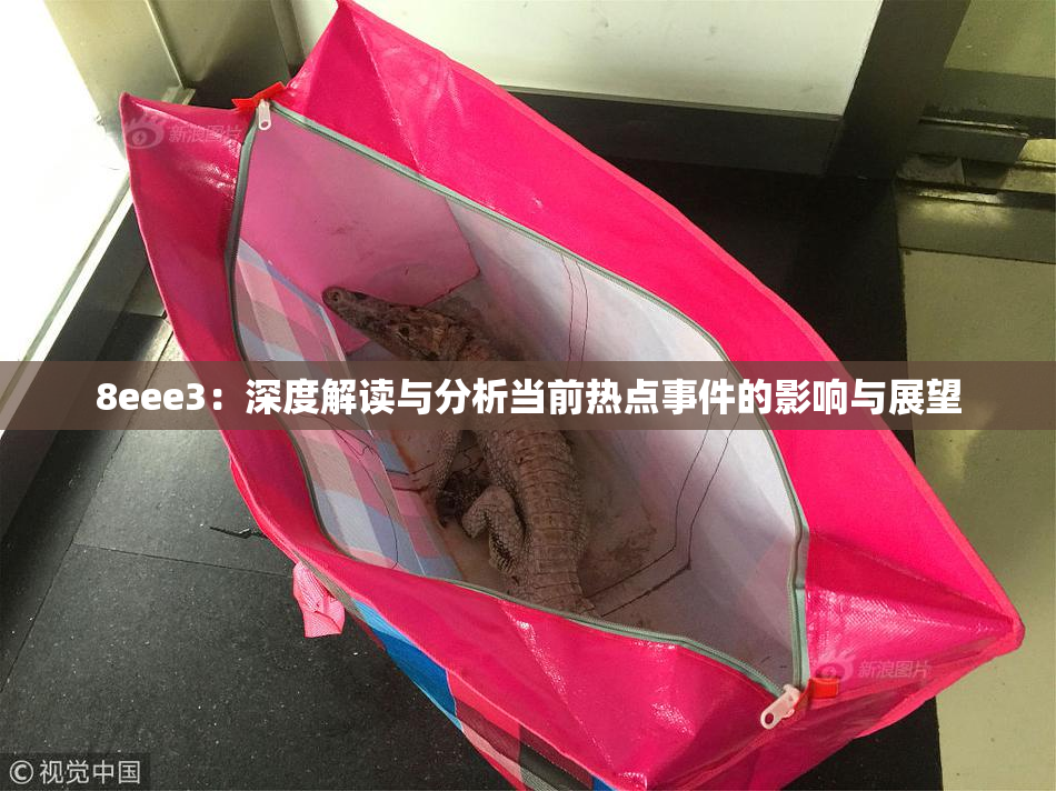 8eee3：深度解读与分析当前热点事件的影响与展望
