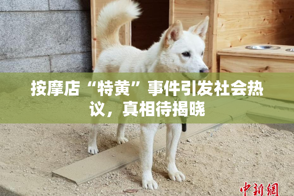 按摩店“特黄”事件引发社会热议，真相待揭晓