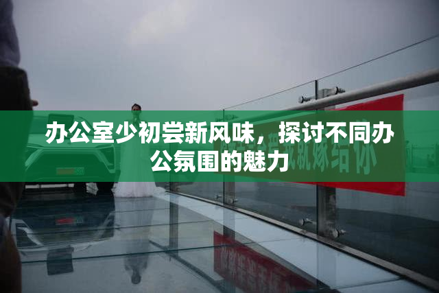 办公室少初尝新风味，探讨不同办公氛围的魅力
