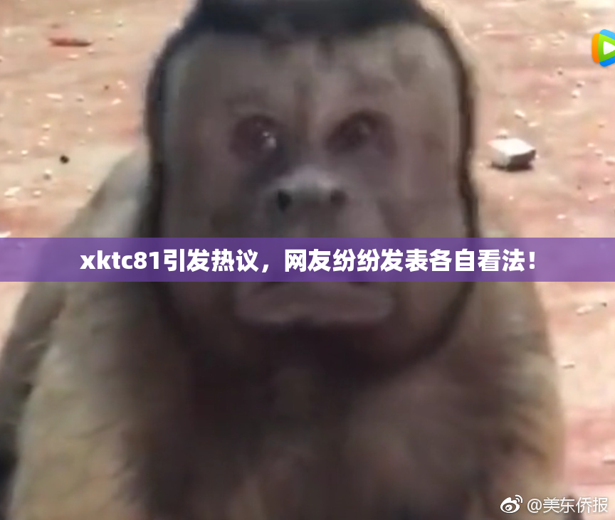 xktc81引发热议，网友纷纷发表各自看法！