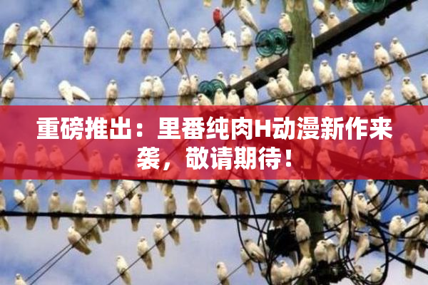 重磅推出：里番纯肉H动漫新作来袭，敬请期待！