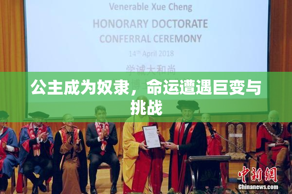 公主成为奴隶，命运遭遇巨变与挑战
