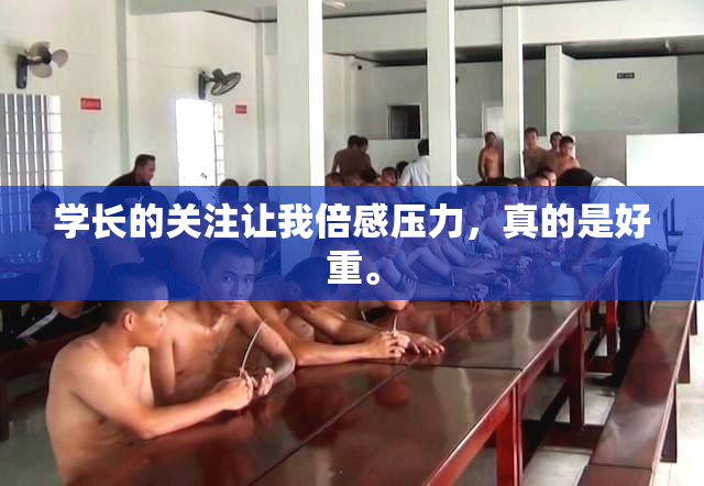 学长的关注让我倍感压力，真的是好重。