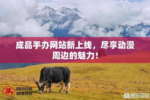 成品手办网站新上线，尽享动漫周边的魅力！