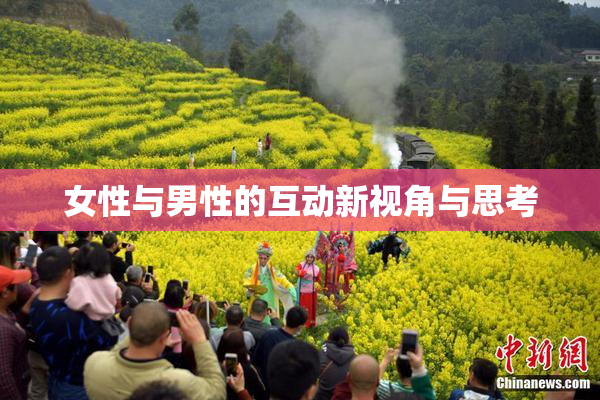 女性与男性的互动新视角与思考