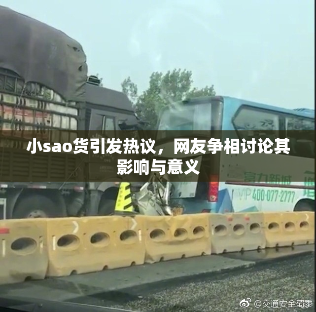 小sao货引发热议，网友争相讨论其影响与意义