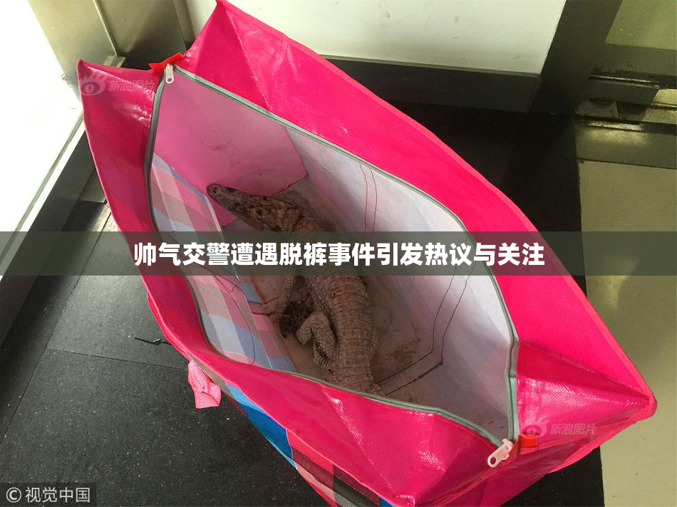 帅气交警遭遇脱裤事件引发热议与关注