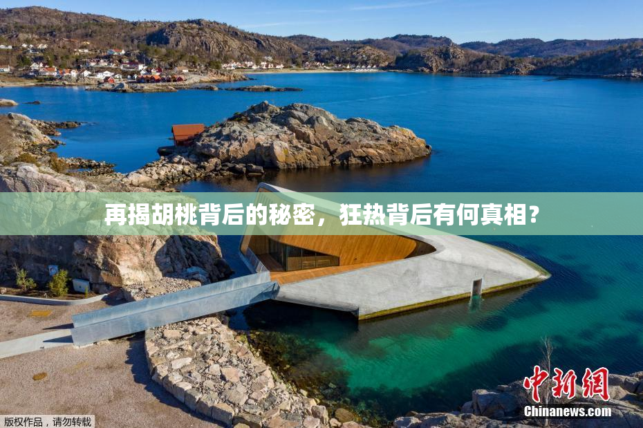 再揭胡桃背后的秘密，狂热背后有何真相？