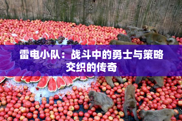 雷电小队：战斗中的勇士与策略交织的传奇
