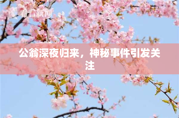 公翁深夜归来，神秘事件引发关注