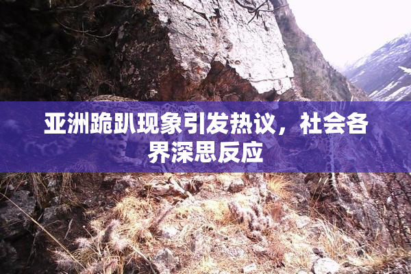 亚洲跪趴现象引发热议，社会各界深思反应
