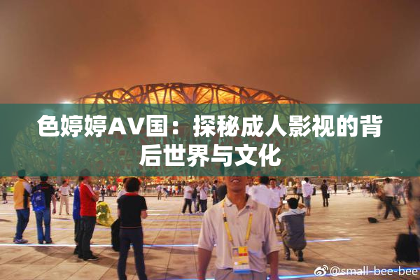 色婷婷AV国：探秘成人影视的背后世界与文化