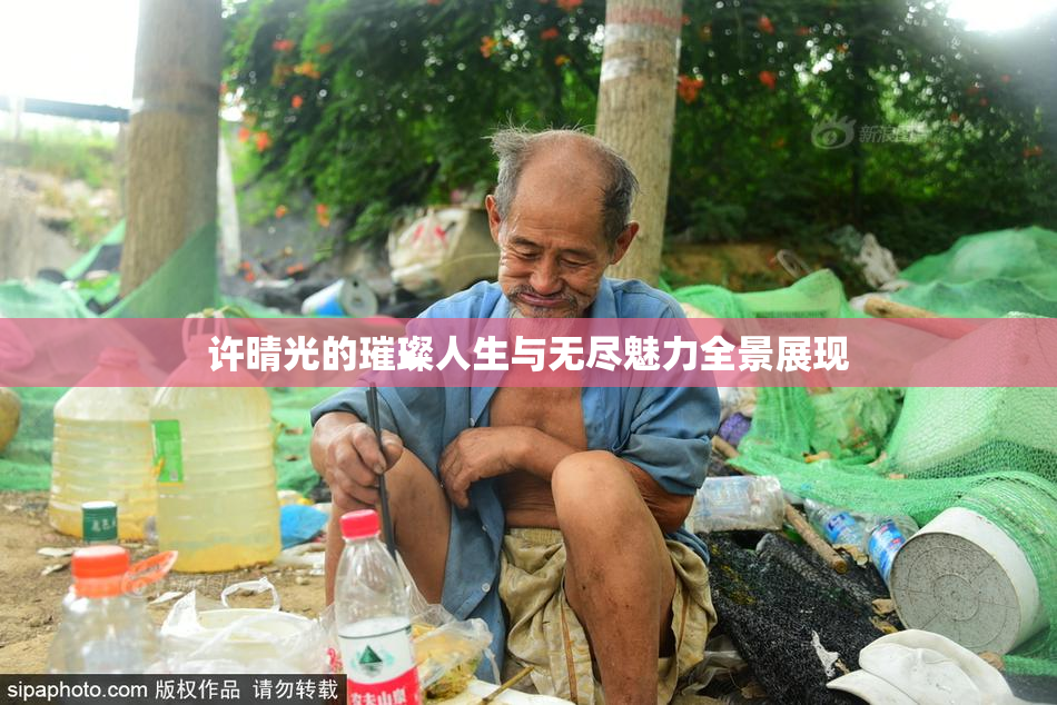 许晴光的璀璨人生与无尽魅力全景展现