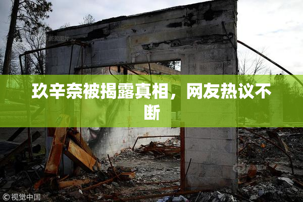 玖辛奈被揭露真相，网友热议不断