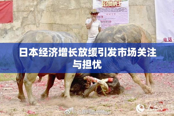 日本经济增长放缓引发市场关注与担忧